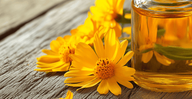 L'arnica dans votre huile de massage : ce que la science explique vraiment